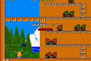 뉴질랜드 스토리(The New Zealand Story)