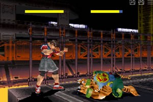 동물철권(Bloody Roar)