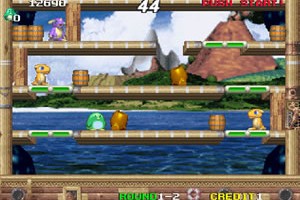 펭귄브라더스(Penguin Brothers)