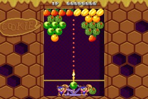 쿠키앤비비(Cookie & Bibi)