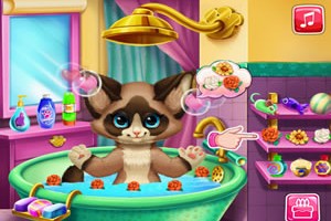 새끼 고양이 목욕 게임(Kitten Bath)