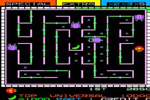 무당벌레(Lady Bug)