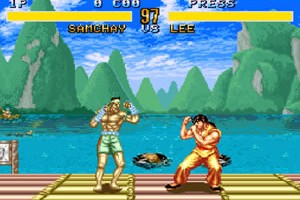 파이터즈 히스토리(Fighter's History)