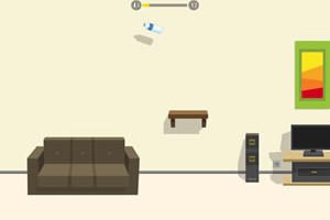 병던지기게임(Flip Bottle)