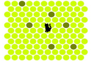 고양이잡기 게임 Circle The Cat